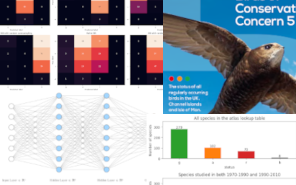 Predicting bird conservation status with neural networks